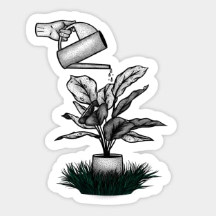 Watering Plastic Plants Sticker